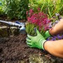 Grüne Gartenhandschuhe mit Latex-Teilbeschichtung bei der Gartenarbeit.
