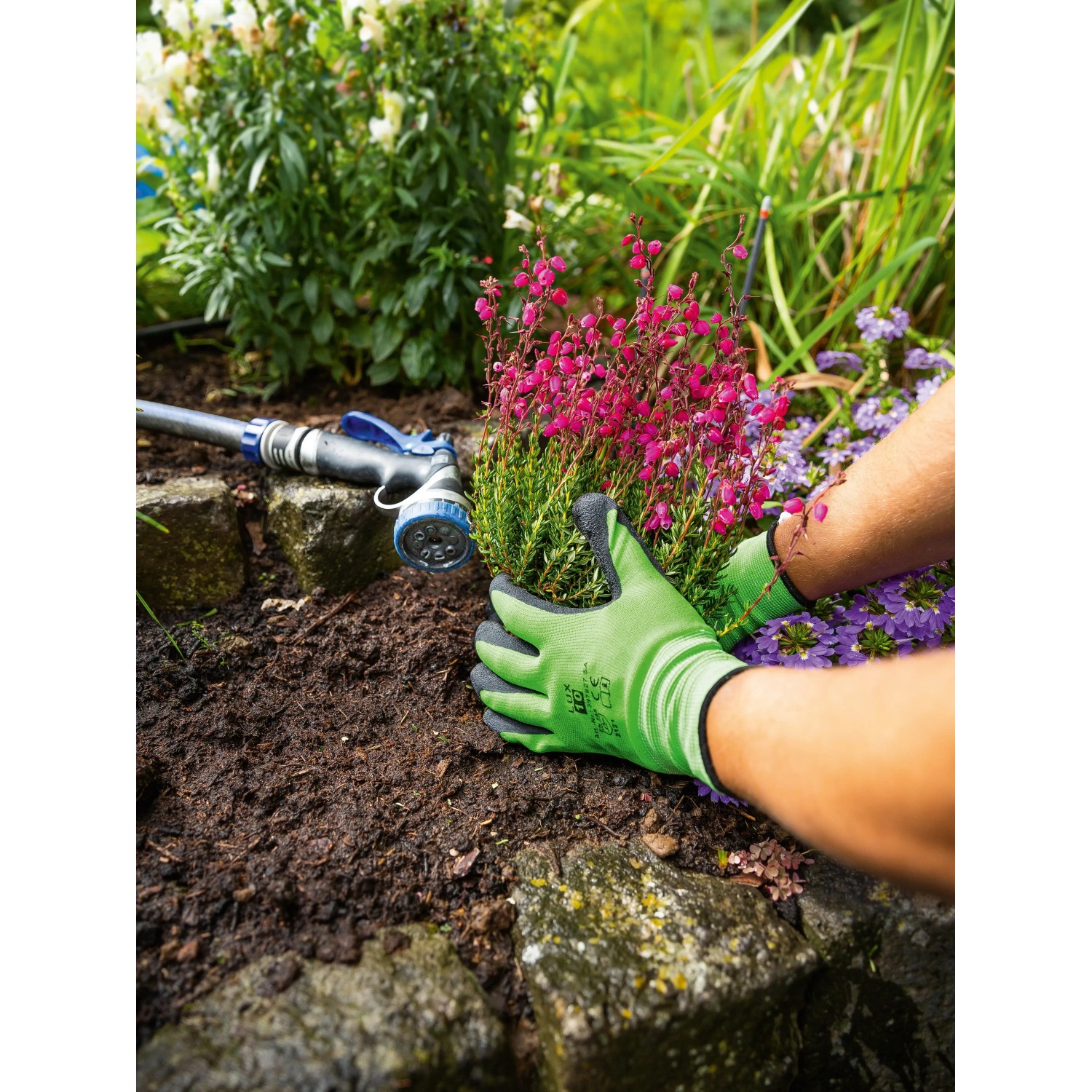 Grüne Gartenhandschuhe mit Latex-Teilbeschichtung bei der Gartenarbeit.