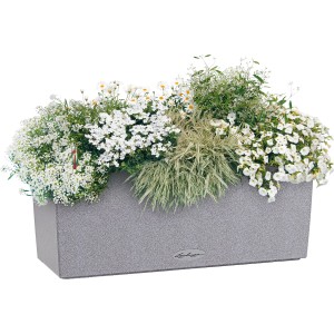 Lechuza Balconera Stone 50, steingrauer Blumenkasten mit Bepflanzung.