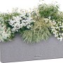 Lechuza Balconera Stone 50, steingrauer Blumenkasten mit Bepflanzung.