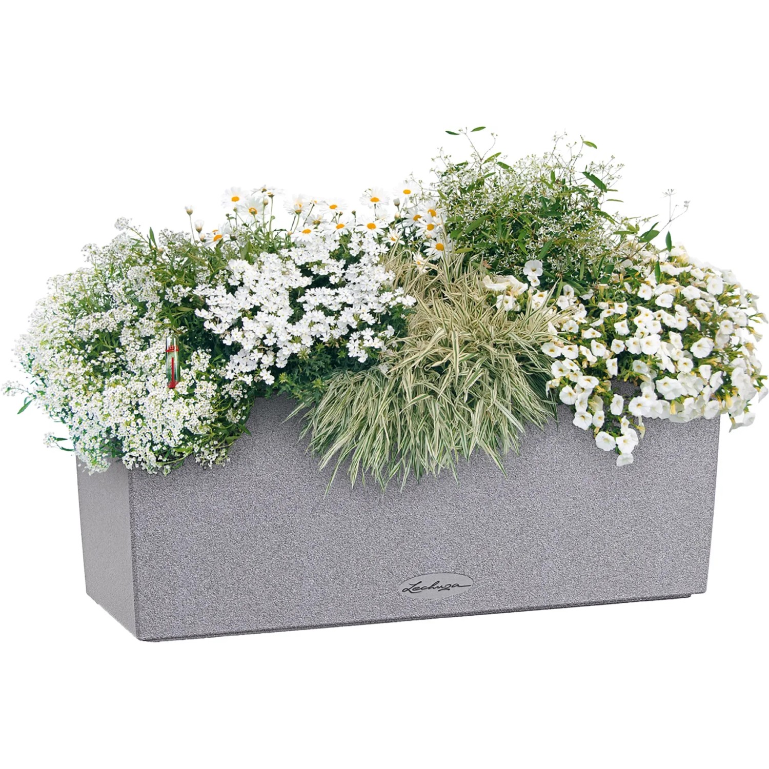 Lechuza Balconera Stone 50, steingrauer Blumenkasten mit Bepflanzung.