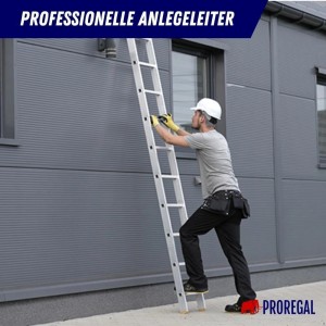 PROREGAL Anlegeleiter Economy Plus mit 9 Sprossen, Arbeitshöhe 3,46 m, Traglast 150 kg.