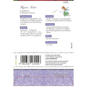 Saatguttütchen Grüne Fee Rosen-Aster Leuchtfeuer: Leuchtend rote Sommerblumen für Beet und Rabatte.