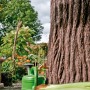Dunkelbraune Arves Regentonne Evergreen 475 l in Baumstammoptik mit Wasserhahn im Garten.