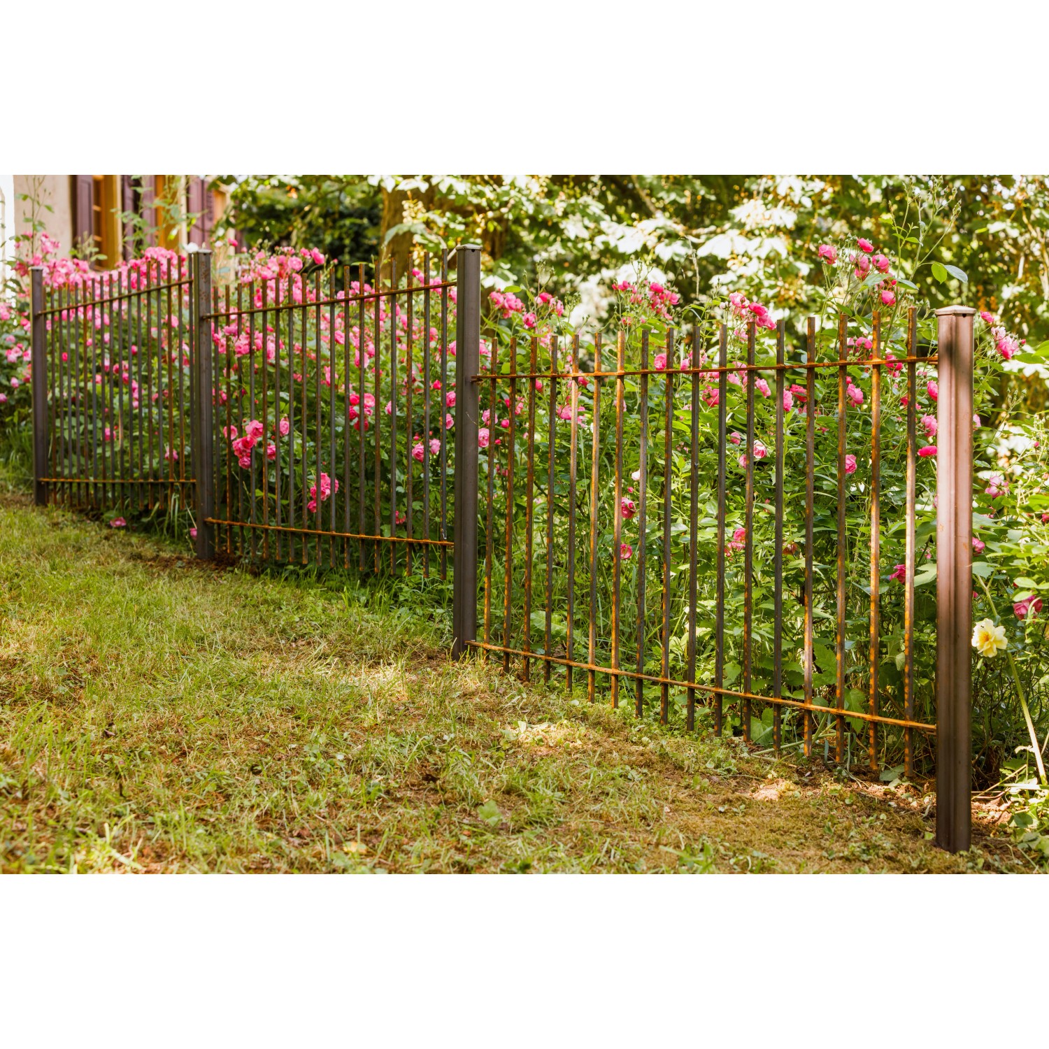 Eleo Gartenzaun Padua 96 cm x 90 cm Unbeschichtet kaufen bei OBI