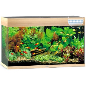 Juwel Aquarium-Set Rio LED, helles Holz, 125 l, bepflanzt und mit Fischen.
