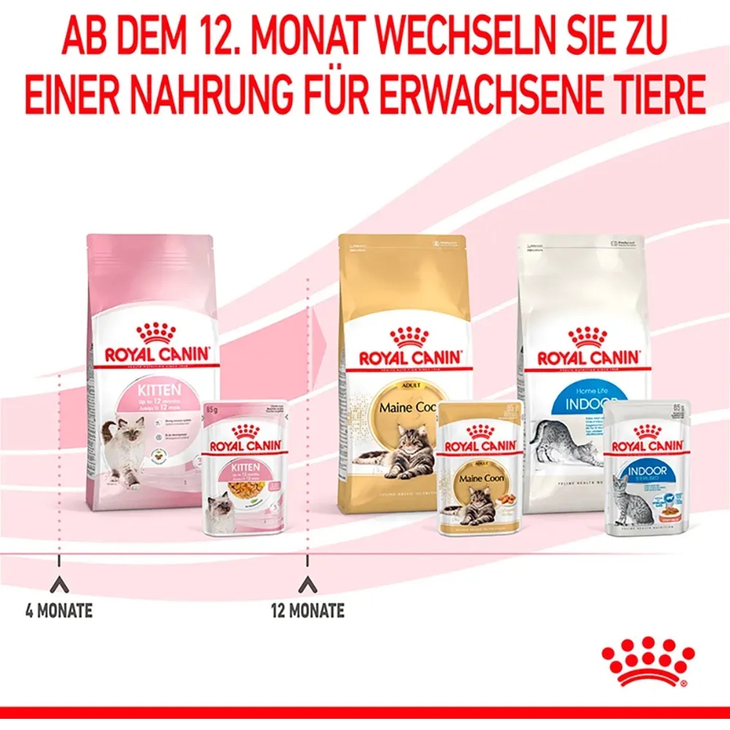 Royal Canin Kitten Futter Vergleich: Nass- und Trockenfutter für Kätzchen und junge Katzen.