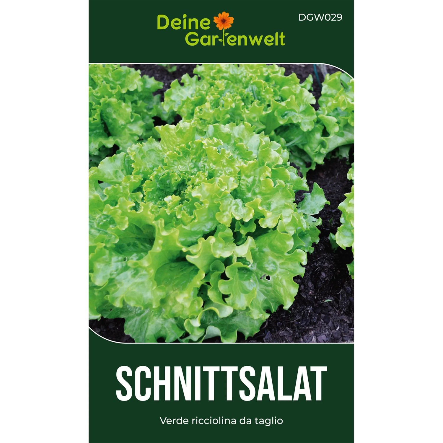 Deine Gartenwelt Schnittsalat Verde Ricciolina Da Taglio Samen