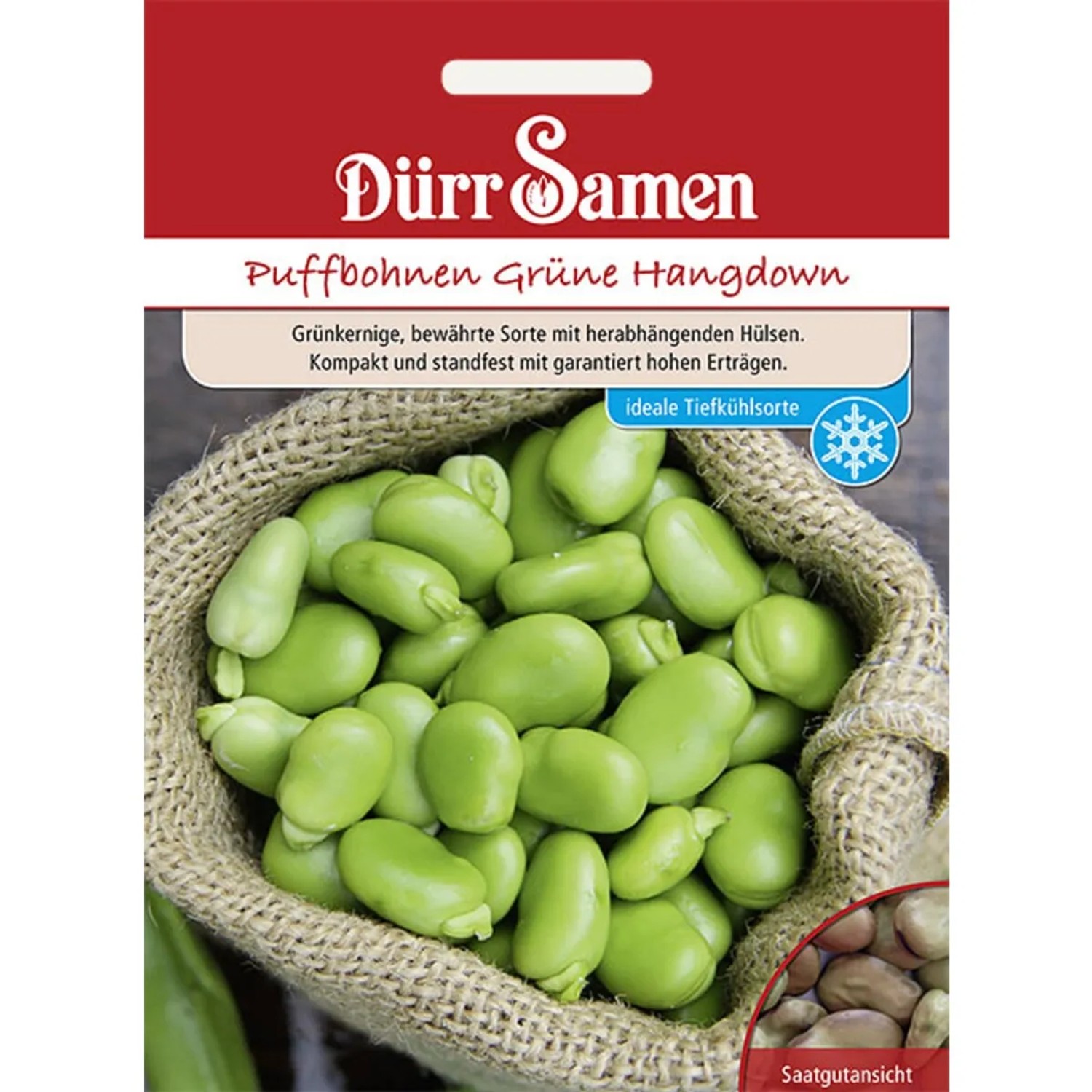 Dürr Samen Puffbohnen Grüne Hangdown Saatgut