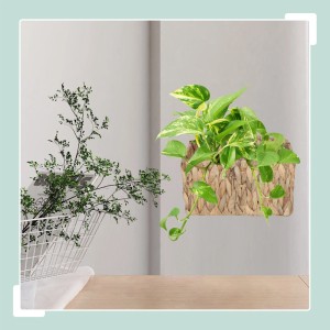 Relaxdays Blumenampel Wasserhyazinthe Natur Wasserdicht Ausgekleidet 29 cm x 28 cm x 15 cm 0,42 kg