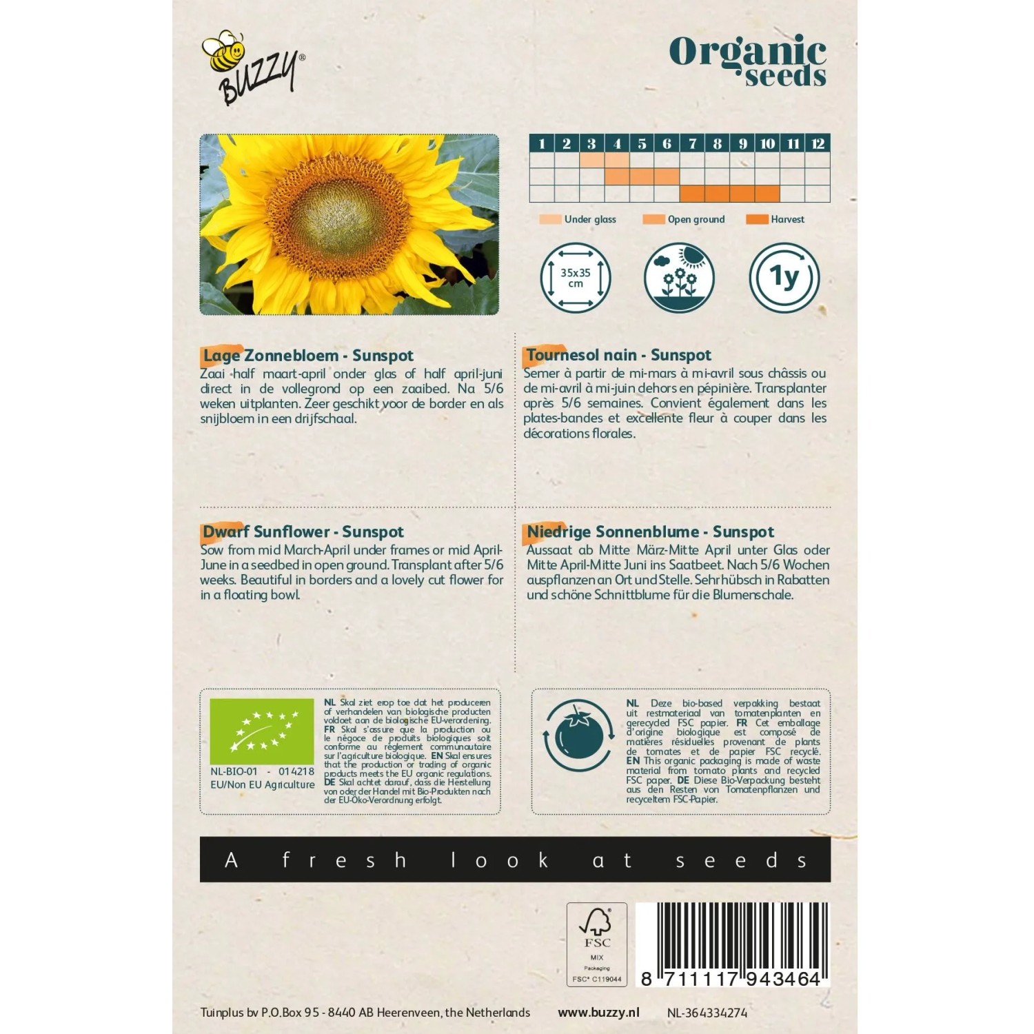 Zwerg-Sonnenblume 'Sunspot' Buzzy Organic Bio Samen Circa 3 g Einfach Anzubauen_2