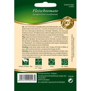 Saatgutpackung Quedlinburger Fleisch-Tomaten Pyros: Ertragreiche Tomatensamen für den Garten.