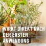 Gedüngte Zitruspflanzen auf einem Tisch, Text "Wirkt direkt nach der ersten Anwendung"