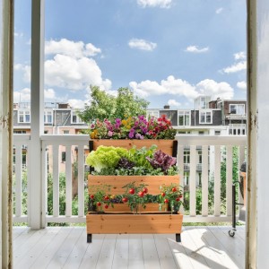 Relaxdays Vertikalbeet mit 5 Kästen Holz Orange Platzsparend 82 cm x 75 cm x 90 cm 8,5 kg