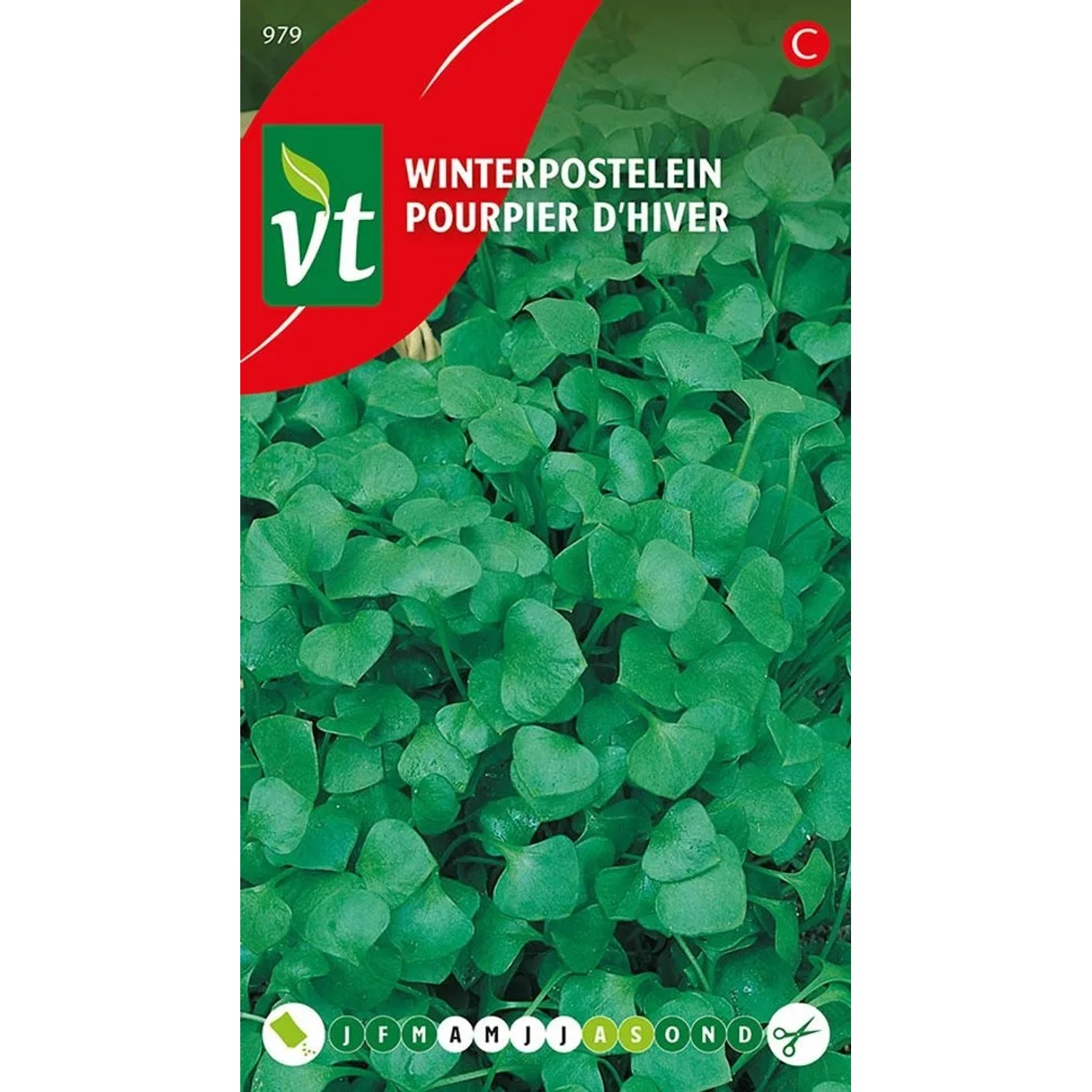 Winterportulak Samen Ca. 0,75 g Reich an Vitamin C