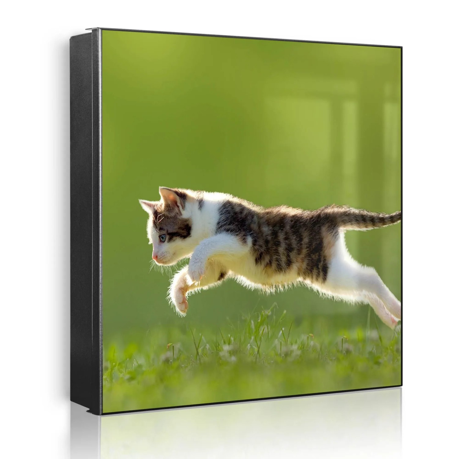 Banjado Großer Schlüsselkasten Metall 30x30cm Schwarz Scharnier Links 50 Haken Beschreibbar Magnetisch Motiv Jagende Katze