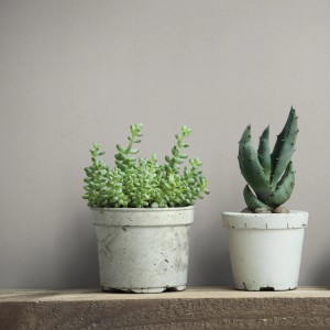 Marburg Vliestapete GZSZ Textiloptik Anthrazit mit Pflanzen im Vintage-Stil.