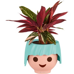 Lechuza Ojo Pflanzgefäß in Aquamarin, 21 cm, mit Pflanze. Dekorativer Übertopf im Playmobil-Look.