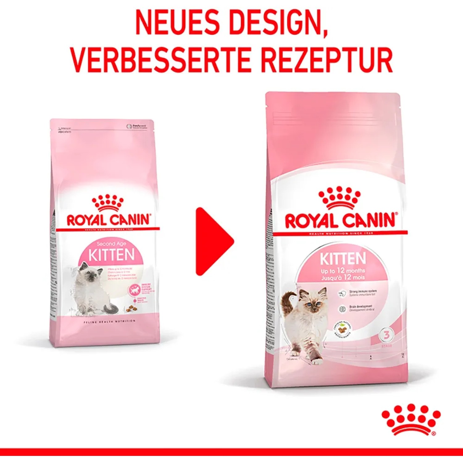 Royal Canin Kitten Trockenfutter