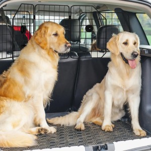 PawHut Hundeschutzgitter aus Stahl im Auto mit zwei Golden Retrievern.
