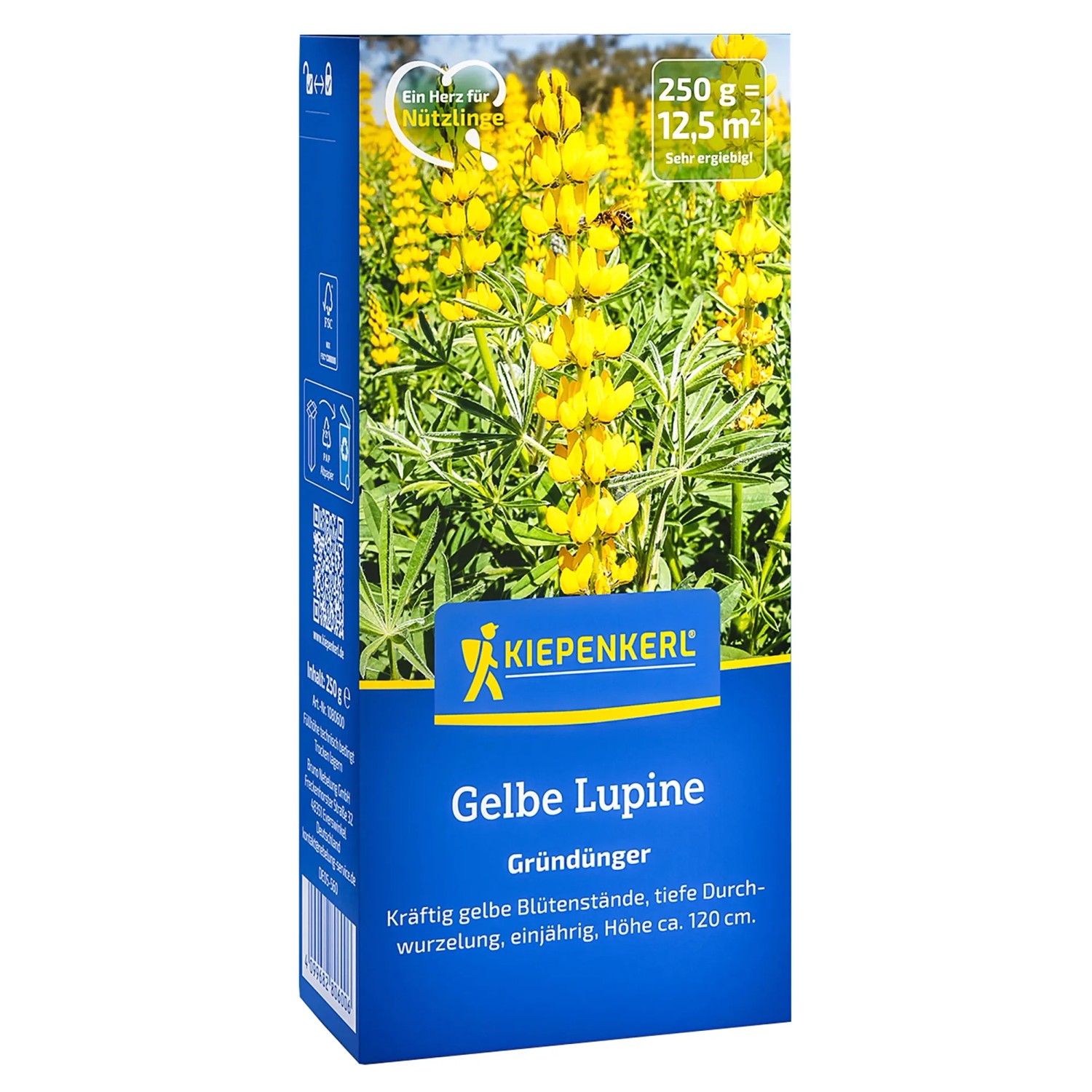 Kiepenkerl Gründünger "Gelbe Lupine" 250 g Lupinus