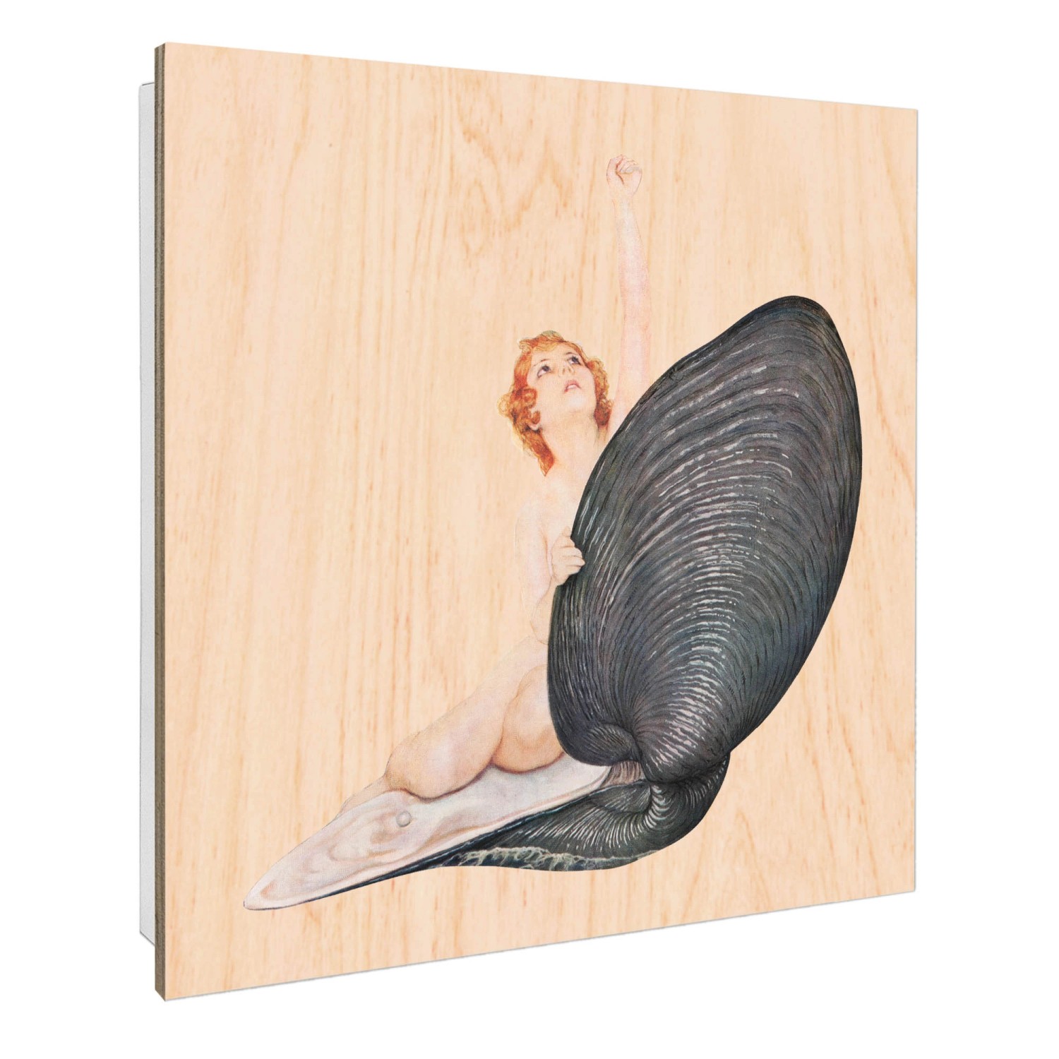Banjado Großer Schlüsselbox Holz 30x30cm Weiß Scharnier Rechts 50 Haken Sch günstig online kaufen