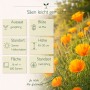 Leuchtend gelb-orange Goldmohn-Blüten mit Infografik zu Aussaat, Blütezeit und Standort der Blumensamen.