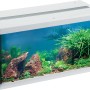 Eheim Aquastar LED Aquarium-Set, 54 l, weiße Umrandung, bepflanzt und dekoriert.