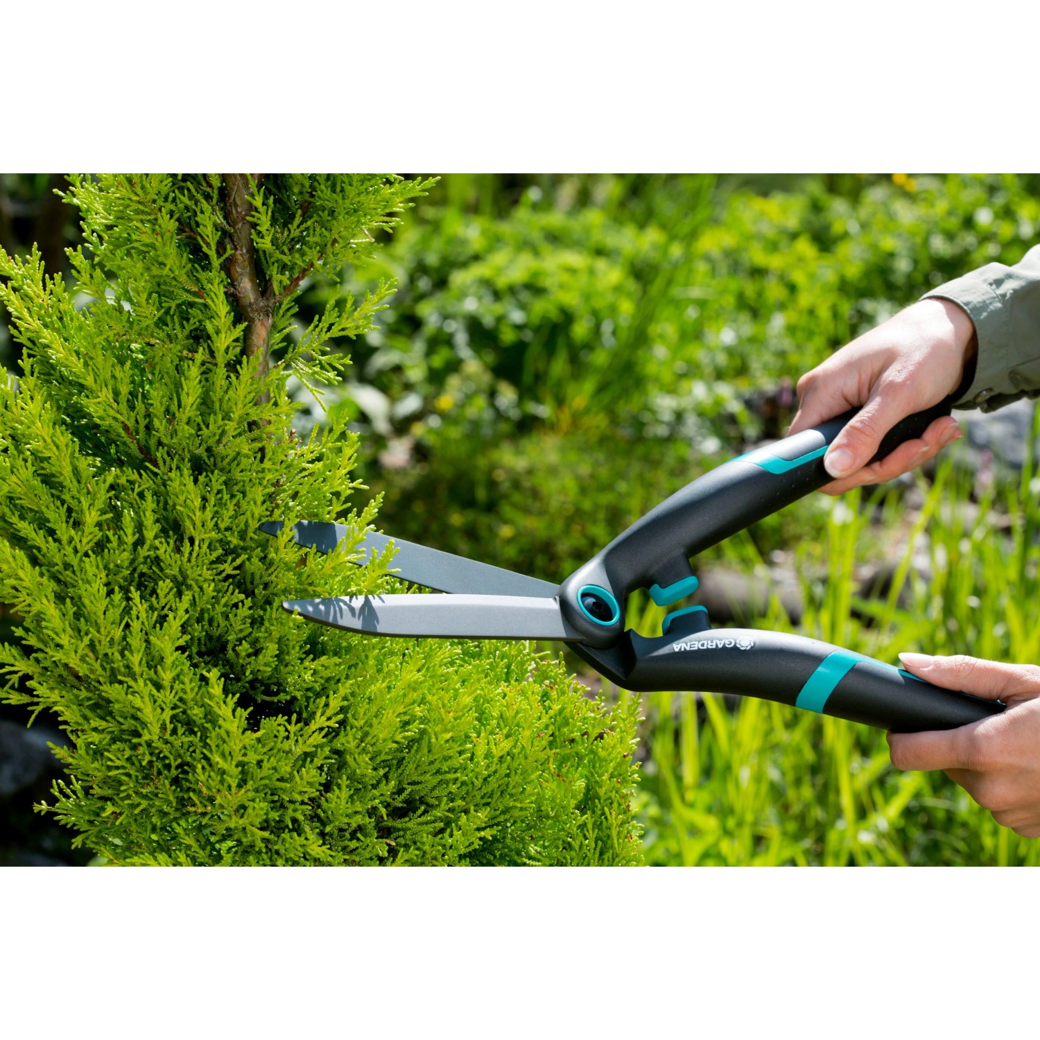 Gardena Heckenschere PrecisionCut beim Heckenschnitt. Hand-Heckenschere mit ergonomischen Griffen.