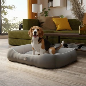 Anthrazitfarbenes Benno Hundebett Sammy (80x65x17 cm) mit Hund im Wohnzimmer.
