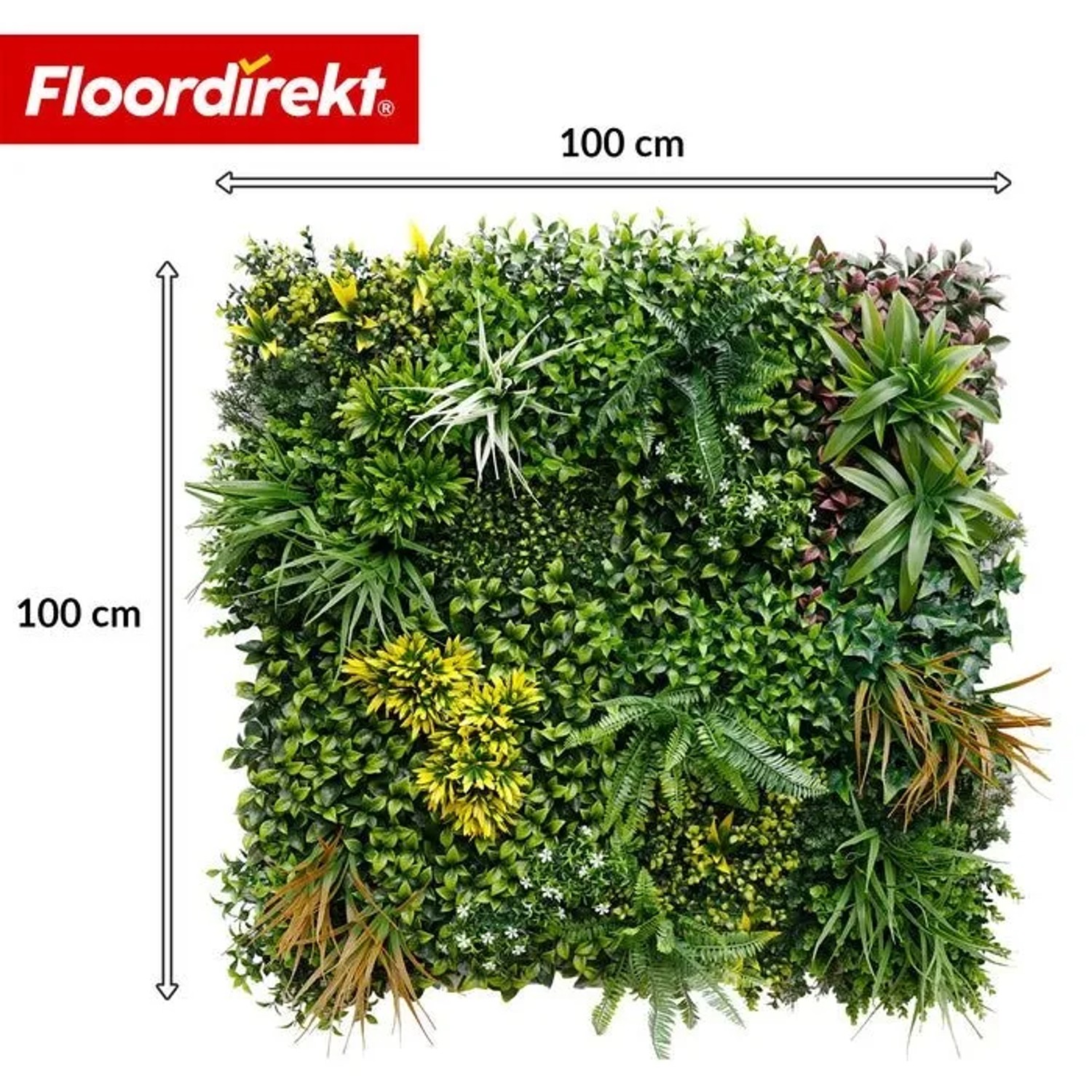 Floordirekt Pflanzenwand Spring Garden, 100x100 cm, mit realistischen grünen Kunstpflanzen, Blättern und Gräsern.