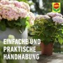 COMPO Düngestäbchen für Balkon- und Kübelpflanzen mit rosa Hortensien im Topf.