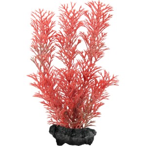 Tetra Kunstpflanze DecoArt Plant S Foxtail Red, rote Aquariumpflanze auf dunklem Sockel.