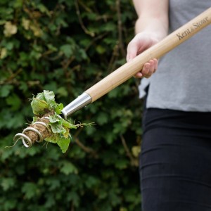 Kent & Stowe Löwenzahnzieher mit Langstiel in Aktion: Löwenzahn wird entfernt.