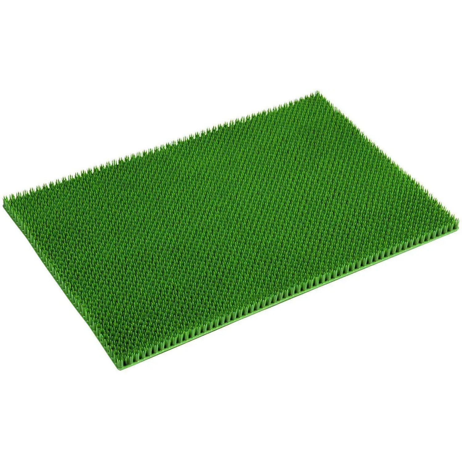 Grüne Astra Fußmatte Season, 40x60 cm, für den Eingangsbereich. Schmutzabweisend und witterungsbeständig.