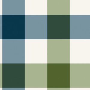 Grüne Joules Vliestapete mit großem Gingham Karo Muster für die Wandgestaltung.