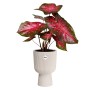 Elho Blumentopf Vibes Fold Coupe, Ø 14 cm, Leinenweiß mit Pflanze.