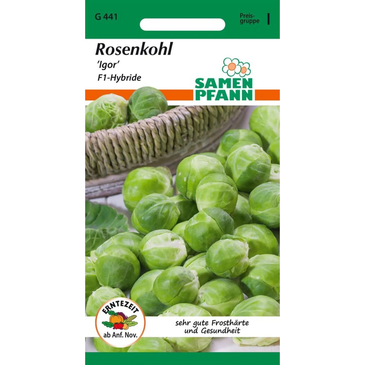 SAMEN PFANN Rosenkohl Igor F1