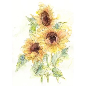 Komar Vliesfototapete Girasol: Aquarell-Darstellung von gelben Sonnenblumen mit grünen Blättern.