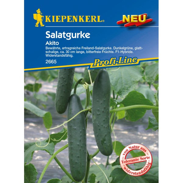 Gurkenpflanzen kaufen bei OBI