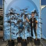 Winterharter Schlafbaum Albizia Summer Chocolate, 150 cm, mit dunklem Laub und rosa Blüte im Topf.