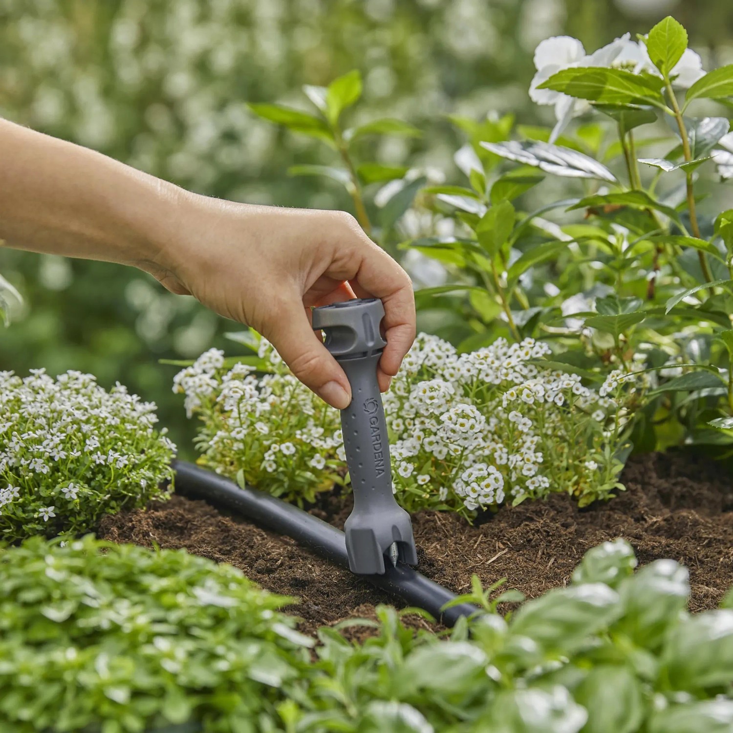 Gardena Montagewerkzeug im Einsatz für Micro-Drip-System, Detailaufnahme.