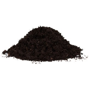 Nahaufnahme: Floragard Bio-Kräutererde, torffreie Erde für aromatische Kräuter, 30 l.