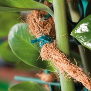Grüne Windhager Jute-Schnur (Ø 1,5 mm, 70 m) zum Anbinden von Pflanzen.