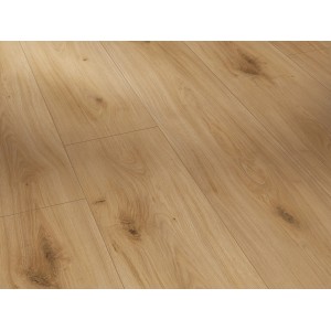 Laminatmuster Parador Basic 600 Eiche Horizont Landhausdiele, helle Holzoptik.