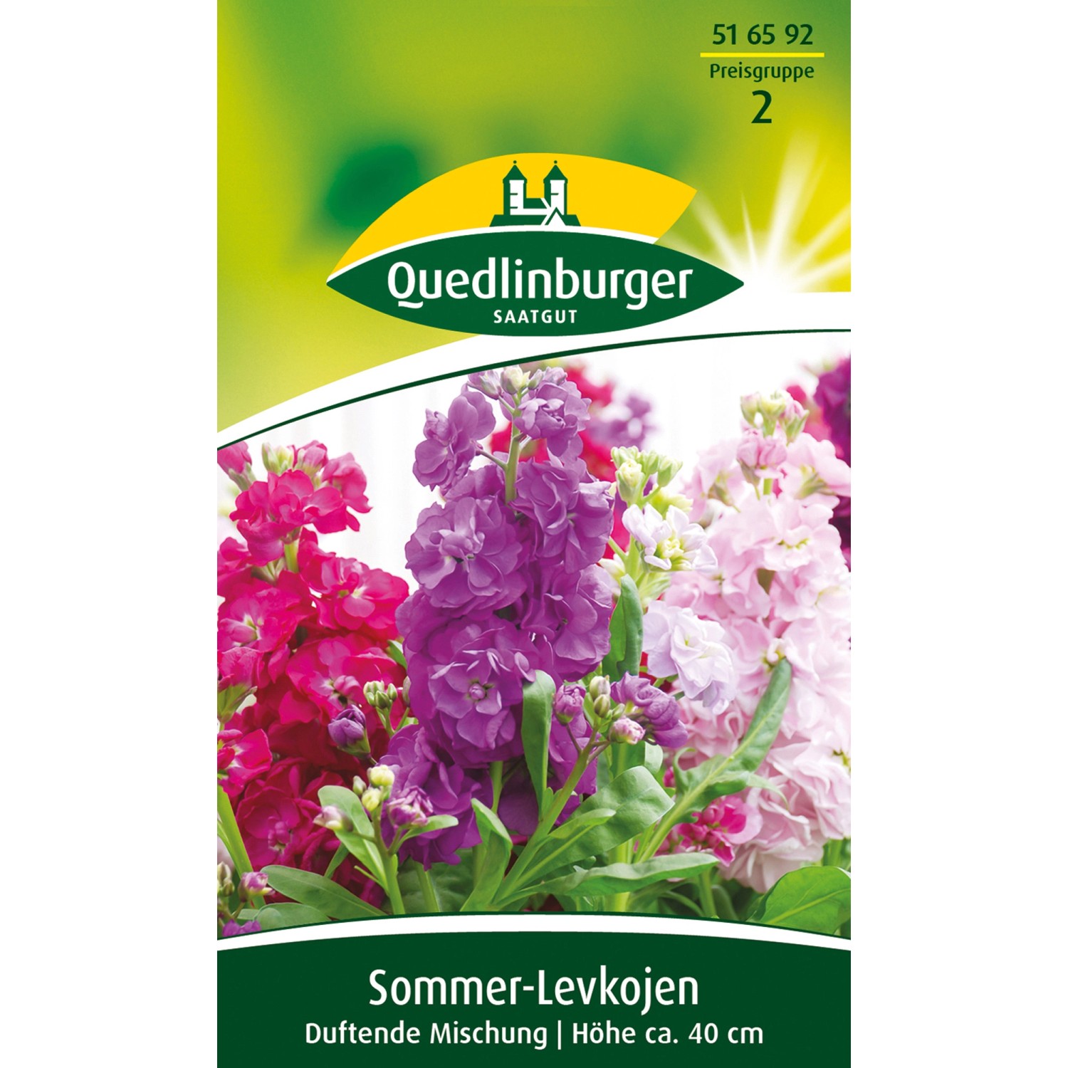 Quedlinburger Sommer-Levkojen ''duftende Mischung'' günstig online kaufen