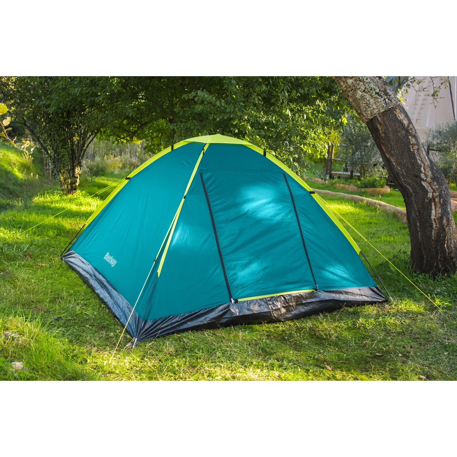 Aufgebautes Bestway® 3-Personen-Zelt Cool Ground in Grün/Gelb auf einer Wiese. Camping & Zubehör.