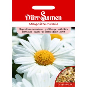 Dürr Samen Margeriten Polaris: Saatgutpackung mit weiß blühenden, mehrjährigen Margeriten.