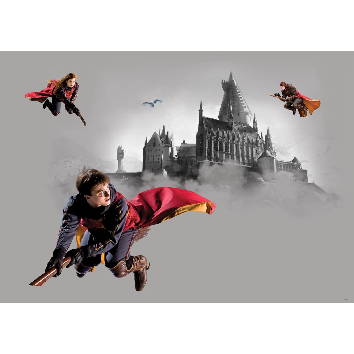 Sanders & Sanders Poster Harry Potter Hogwarts Grau und Rot 1.1 x 1.55 m 60 günstig online kaufen