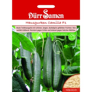 Dürr Samen Hausgurken Camilla F1: Saatguttüte mit Gurkenpflanze und Saatgutansicht.